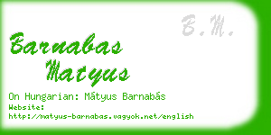 barnabas matyus business card